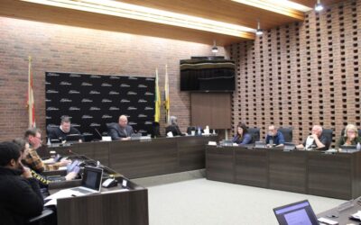 Council discusses community safety and well being plan, supports mental wellness dinner